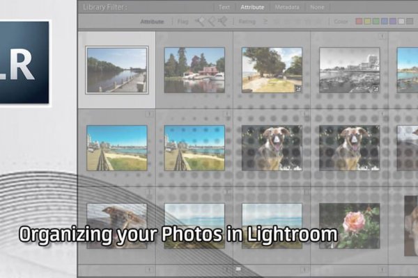 Браузер для кракен