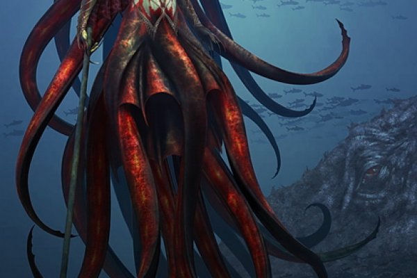 Kraken dark net