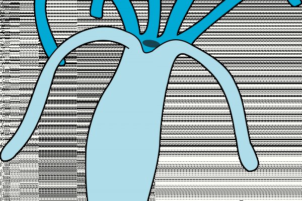 Оригинальный сайт кракен