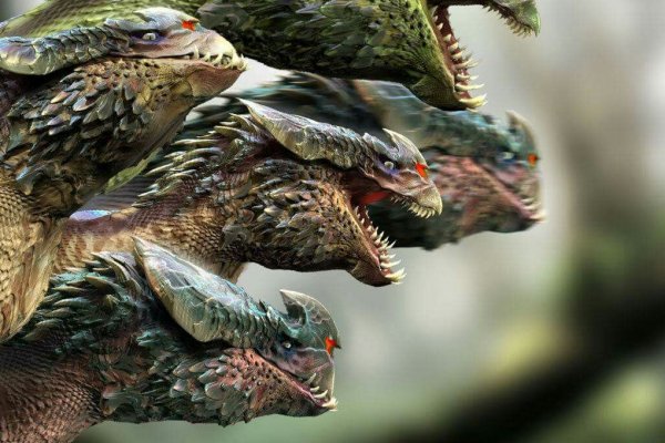 Kraken 12at