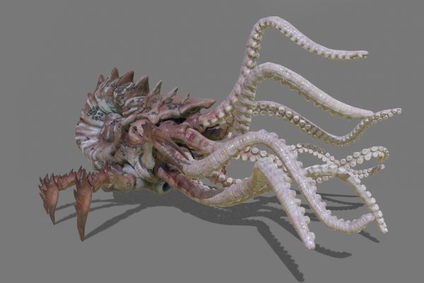 Kraken site
